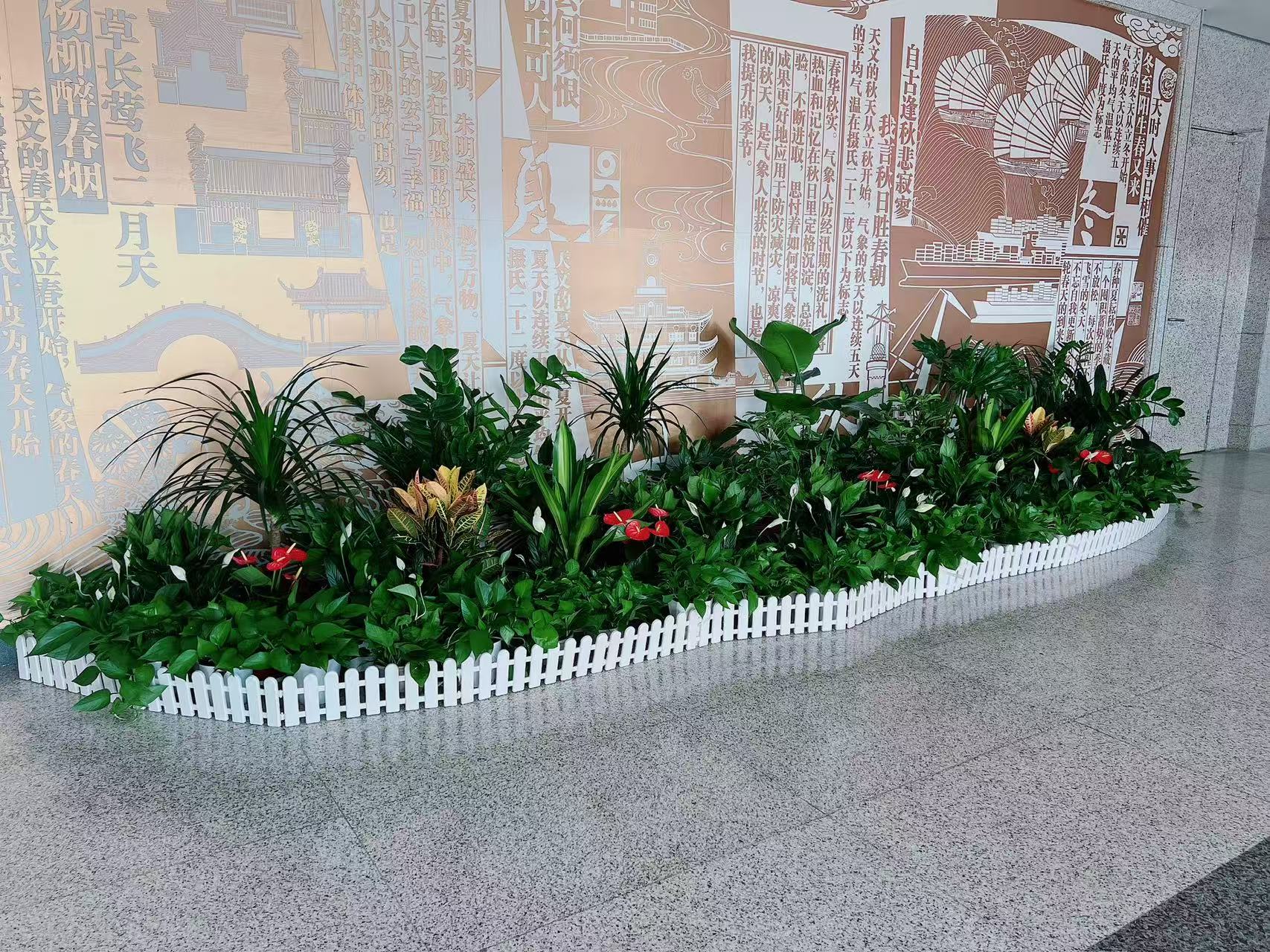 宁波鄞州绿植租赁公司